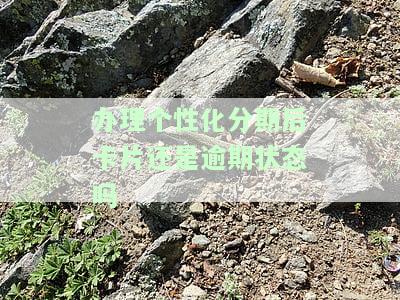 办理个性化分期后果：影响、要求与流程