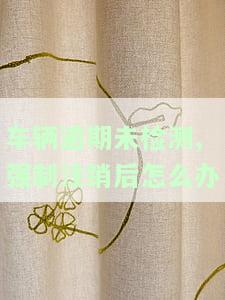 车辆超期未检验注销：处理办法与影响解析