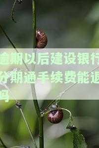 建设银行分期通逾期,能和银行协商还款吗，如何与建设银行协商分期通逾期还款？