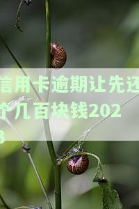 信用卡逾期让先还个几百块钱，信用卡逾期，优先偿还数百元可以有效减轻负担