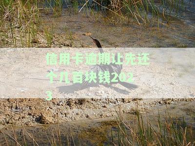 逾期先还哪家信用卡？专业人士告诉你最优还款策略