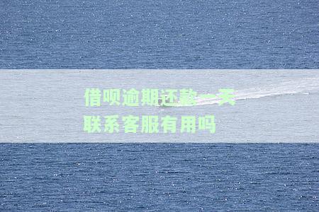 借呗逾期不到一天可以跟客服说明吗，如何处理借呗逾期不到一天的情况？与客服沟通的方法