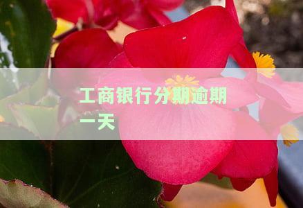 工商银行分期卡逾期，警惕！工商银行分期卡逾期后果严重