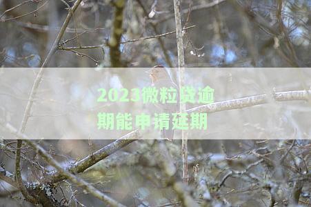2023微粒贷逾期能申请期还款吗，如何申请期还款？2023年微粒贷逾期解决方案