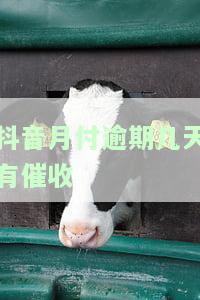抖音月付逾期几天会有催收电话吗？了解逾期处理方法