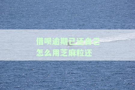 借呗逾期用芝麻粒可以消除吗，芝麻粒能解决借呗逾期问题吗？