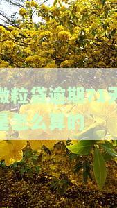 微粒贷逾期71天计算方式及后果全解析