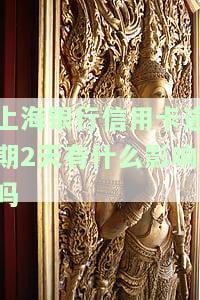 上海银行信用卡逾期2天的影响及解决办法