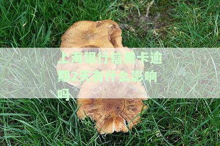 上海银行信用卡逾期2天有什么影响吗