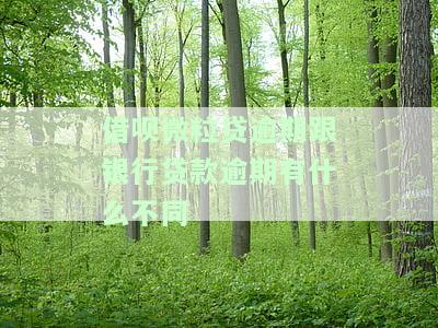 借呗微粒贷逾期与银行贷款逾期有何区别？如何处理？会存在暴力催收吗？未还款会带来什么后果？