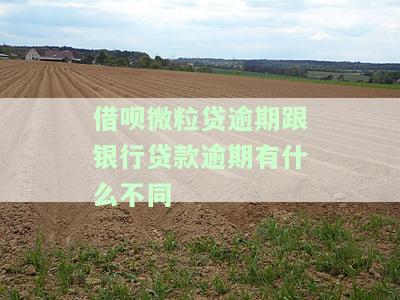 借呗微粒贷逾期跟银行贷款逾期有什么不同嘛，借呗微粒贷逾期与银行贷款逾期有何区别？