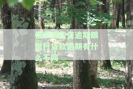 借呗和微粒贷逾期了怎么办会有暴力催收么，借呗和微粒贷逾期后，会遭遇暴力催收吗？