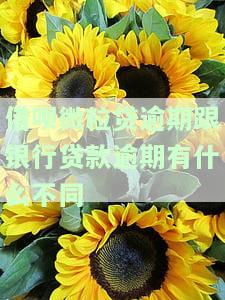 微粒贷和借呗逾期未还的严重后果是什么？