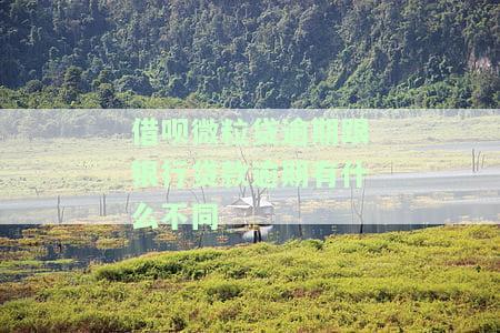 微粒贷和借呗会影响银行贷款、个人征信及购房贷款吗？安全性如何？