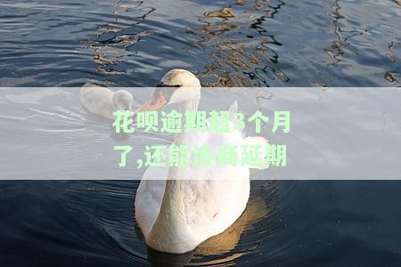 花呗逾期三个月，还能协商还款吗？逾期有何影响？