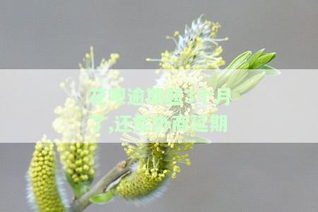 花呗逾期超过3个月，警告：花呗逾期超过3个月，你可能面临严重后果！
