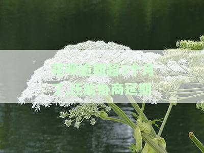 花呗逾期三个多月后还款后还能使用吗，花呗逾期三个月后还款，能否继续使用？