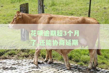 花呗逾期超3个月了,还能协商期-花呗逾期超3个月了,还能协商期吗