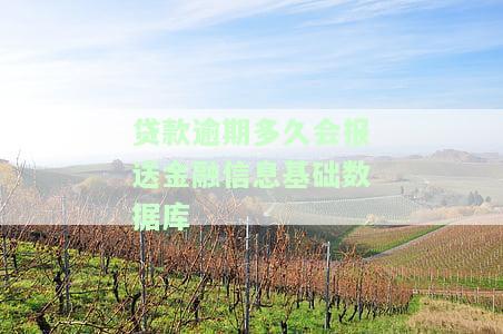 贷款逾期多久上报征信、央行及申诉？全解析