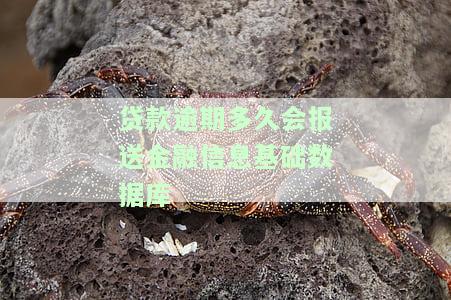 贷款逾期多久会发催款函、电话催收、收到法院传票、发律师函、通知家人、紧急联系人，以及是否上报？