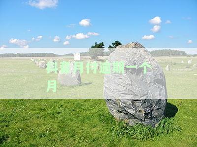 抖音月付逾期一个月还了还能用吗，抖音月付逾期还款后能否继续使用？