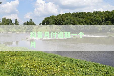 抖音月付逾期一个月会上征信吗，抖音月付逾期一个月是否会影响个人征信？