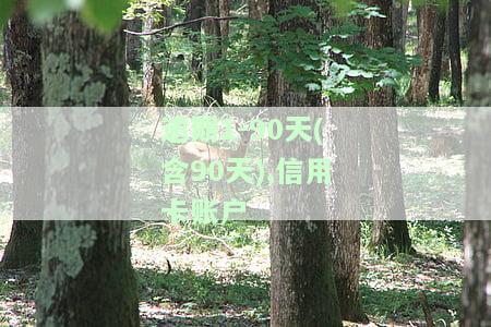 逾期1-90天(含90天),信用卡账户-逾期1-90天(含90天),信用卡账户的对各欠款如