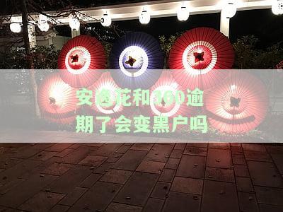 安逸花和360哪个可靠利息低，比较分析：安逸花与360借款，哪个更值得信且利率更低？