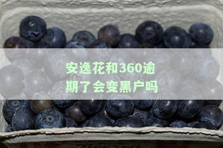 安逸花和360逾期了会变黑户吗