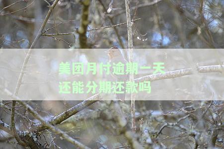美团月付逾期一天能否分期还款？如何操作？还款后是否仍能使用？逾期有何影响？