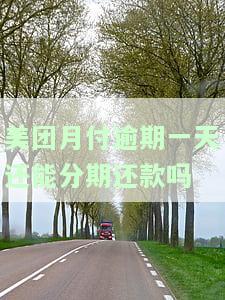 美团月付逾期了还可以分期吗，美团月付逾期后，还能进行分期还款吗？