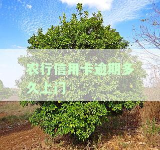 农行信用卡逾期多久上门核实资料与征信？2021年新规及处理方式