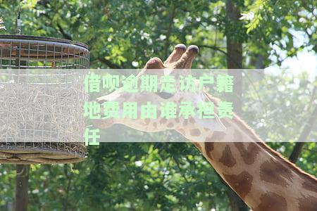 借呗逾期真的会走访户地吗？可能会，处理方法是什么？