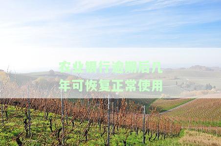 农业银行逾期后几年可恢复正常使用-农业银行逾期后几年可恢复正常使用额度