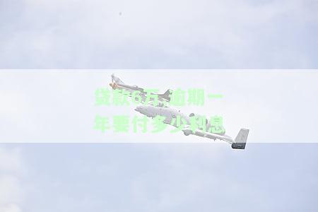 贷款6万,逾期一年要付多少利息-贷款6万,逾期一年要付多少利息呢