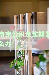 南京住房公积金逾期贷款管理办法：全文、解读与处理指南