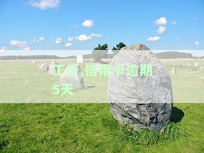 工行信用卡逾期5天上不上征信，【解答】工行信用卡逾期5天是否会上征信？