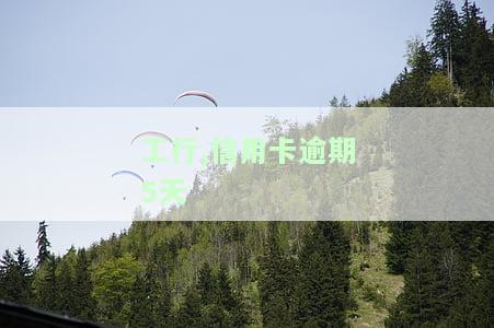 工行信用卡逾期5天是否会降额？影响及解决方法