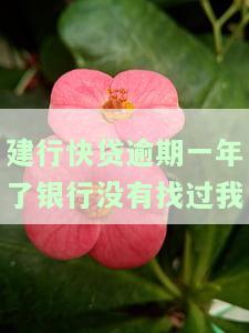 建行快贷逾期1年多可以打电话协商吗？解决办法及影响解析