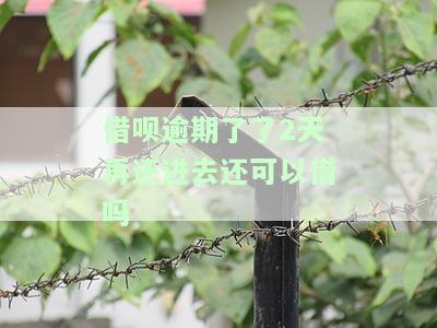 借呗逾期了了2天再还进去还可以借吗有影响吗，借呗逾期两天还款后，是否会影响再次借款？