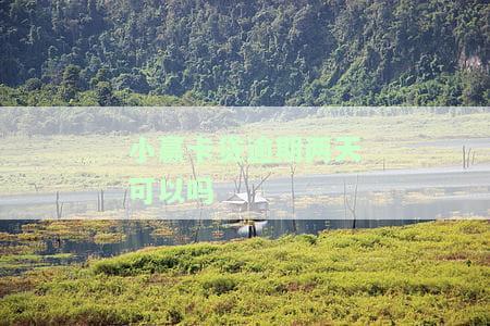 小赢卡贷逾期两天可以吗-小赢卡贷逾期两天可以吗怎么还款