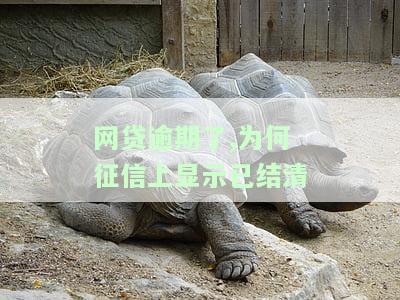 网贷逾期了,为何征信上显示已结清