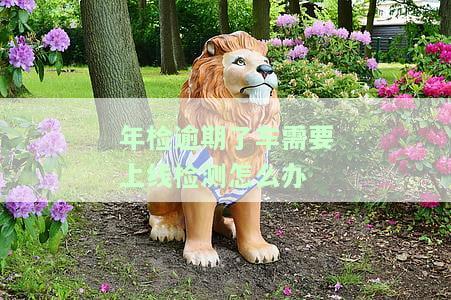 年检逾期要再去年检怎么处理，处理年检逾期：需要重新进行年检的步骤和方法
