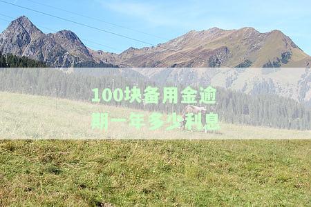 100块备用金逾期一年多少利息？后果严重吗？