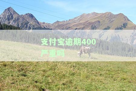 支付宝逾期几百会怎么样？影响、处理方式及是否会起诉全解析