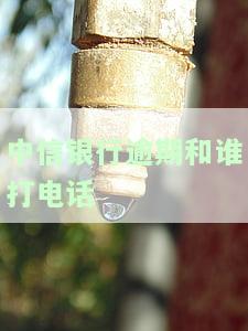 中信银行逾期和谁打电话