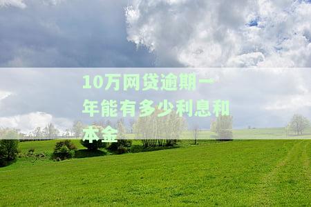 网贷10万逾期一个月利息要多少，逾期一个月网贷10万元，利息究竟要多少？