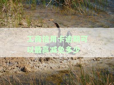2021年工商信用卡逾期新政策详解：内容、影响与应对措