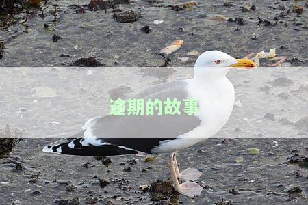 逾期有多可怕？e招贷逾期、严重后果及危害大盘点！