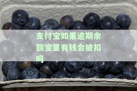 支付宝如果逾期余额宝里有钱会被扣吗-支付宝如果逾期余额宝里有钱会被扣吗安全吗